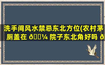 洗手间风水禁忌东北方位(农村茅厕盖在 🌼 院子东北角好吗 🐘 )